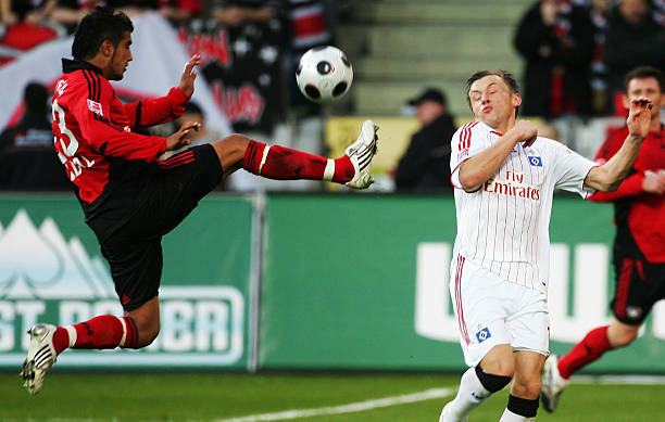 了重大影响 了重大影响