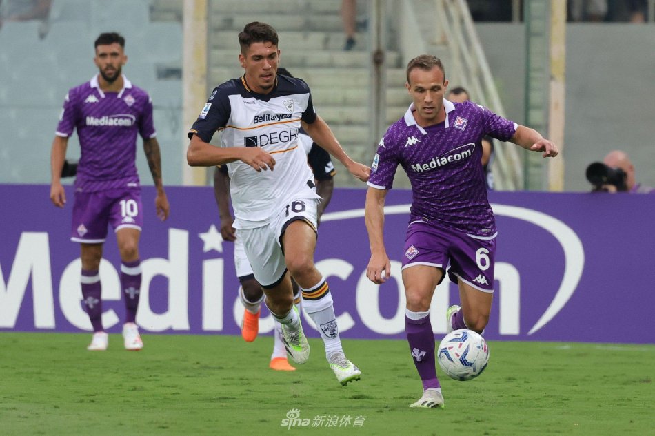 坚持将继续 坚持将继续